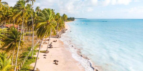 Pacote Salinas Maragogi All Inclusive - Imagem 4